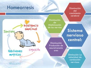 Homeorresis
Sistema
nervioso
central:
Disminución
del
crecimiento
cerebral
Disminución
de
Mielinización
de los nervios
Disminución
Producción de
neurotransmis
ores
Diminución La
velocidad de
conducción
nerviosa
 