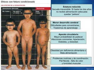 Estatura reducida
 Secuela irreversible. Si hasta los dos años
    no recibió alimentación adecuada
              quedan “petisos”.



  Menor desarrollo cerebral
Dificultades para concentrarse.
   Trastornos de aprendizaje


       Aparato circulatorio
   Mayor probabilidad de padecer
Afecciones coronarias, hipertensión,
       Diabetes, y obesidad.



Obesidad por deficiencia alimentaria o
         Mala alimentación

  Problemas motrices y de coordinación.
        Piel flácida , falta de color
           y tonicidad muscular
 
