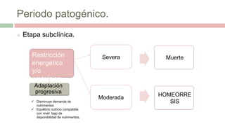 Periodo patogénico.
 Etapa subclínica.
SeveraRestricción
energética
y/o
proteínica
Adaptación
progresiva
Muerte
Moderada
 Disminuye demanda de
nutrimentos
 Equilibrio nutricio compatible
con nivel bajo de
disponibilidad de nutrimentos.
HOMEORRE
SIS
 