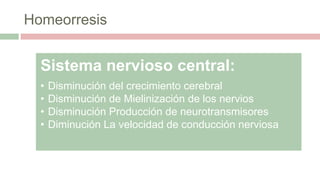 Homeorresis
Sistema nervioso central:
• Disminución del crecimiento cerebral
• Disminución de Mielinización de los nervios
• Disminución Producción de neurotransmisores
• Diminución La velocidad de conducción nerviosa
 