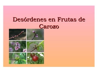 Desórdenes en Frutas deDesórdenes en Frutas de
CarozoCarozo
 