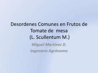 Desordenes Comunes en Frutos de
       Tomate de mesa
       (L. Scullentum M.)
        Miguel Martínez D.
       Ingeniero Agrónomo
 