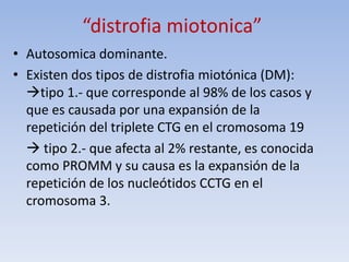“distrofia miotonica”
• Autosomica dominante.
• Existen dos tipos de distrofia miotónica (DM):
tipo 1.- que corresponde al 98% de los casos y
que es causada por una expansión de la
repetición del triplete CTG en el cromosoma 19
 tipo 2.- que afecta al 2% restante, es conocida
como PROMM y su causa es la expansión de la
repetición de los nucleótidos CCTG en el
cromosoma 3.
 