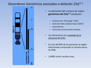 Desordenes Genómicos asociados a delación 22q11.2
• La alteración del numero de copias
genómicas del 22q11.2 producen:
– Sindrome de “Di Geroge” (SDG)
– Sindrome Velo-Cardiáco Facial. (SNCF)
– Esquizofrenia.
– Anomalías Conotruncales Aisladas.
• Las alteraciones son resultado de la
presencia de LCR’s.
• En mas del 85% de los pacientes la región
delecionada comprende un tamaño aprox.
de 3Mb.
• 1/4000 recién nacidos vivos.
 