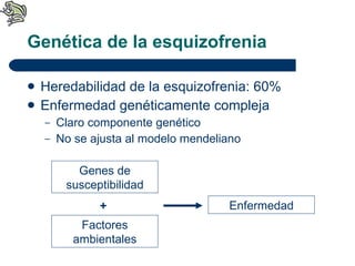 Genética de la esquizofrenia Heredabilidad de la esquizofrenia: 60% Enfermedad genéticamente compleja Claro componente genético No se ajusta al modelo mendeliano Genes de susceptibilidad Factores ambientales Enfermedad + 