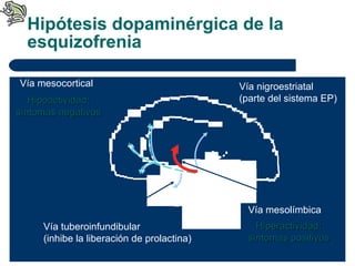 Hipótesis dopaminérgica de la esquizofrenia Hiperactividad: síntomas positivos Vía mesolímbica Vía nigroestriatal  (parte del sistema EP) Vía tuberoinfundibular (inhibe la liberación de prolactina) Vía mesocortical Hipoactividad: síntomas negativos 