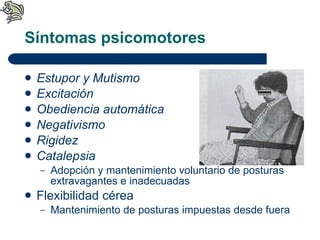 Síntomas psicomotores Estupor y Mutismo Excitación Obediencia automática Negativismo Rigidez  Catalepsia Adopción y mantenimiento voluntario de posturas extravagantes e inadecuadas Flexibilidad cérea Mantenimiento de posturas impuestas desde fuera 