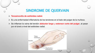 SINDROME DE QUERVAIN
 Tenosinovitis de estiloides radial.
 Es una enfermedad inflamatoria de los tendones en el lado del pulgar de la muñeca.
 Se inflaman la vaina del tendón abductor largo y extensor corto del pulgar, al pasar
por el túnel a nivel del estiloides radial.
 
