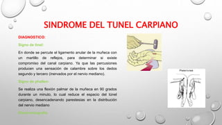 SINDROME DEL TUNEL CARPIANO
DIAGNOSTICO:
Signo de tinel:
En donde se percute el ligamento anular de la muñeca con
un martillo de reflejos, para determinar si existe
compromiso del canal carpiano. Ya que las percusiones
producen una sensación de calambre sobre los dedos
segundo y tercero (inervados por el nervio mediano).
Signo de phallen:
Se realiza una flexión palmar de la muñeca en 90 grados
durante un minuto, lo cual reduce el espacio del túnel
carpiano, desencadenando parestesias en la distribución
del nervio mediano
Electromiografía
 
