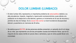 DOLOR LUMBAR (LUMBAGO)
• El dolor lumbar (DL) representa un importante problema de salud pública debido a su
alta prevalencia, impacto, magnitud y repercusión socioeconómica, pues afecta a la
población en la etapa de la vida laboral y genera un incremento en el uso de recursos y
pérdida de días de trabajo. Es la causa más común a nivel mundial de discapacidad
laboral y ausentismo en menores de 45 años.
• Se estima que el 60-70% de las personas adultas presentan un episodio de dl a lo largo
de su vida, que representa una de las principales causas de limitación física, que en la
mayoría de los casos remite en pocos días o semanas y que en otros puede llevar a la
cronicidad.
 