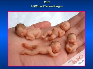 Por: William Vicente Borges 
