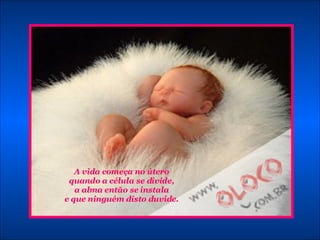 A vida começa no útero quando a célula se divide, a alma então se instala e que ninguém disto duvide. 