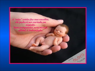 A “mãe” então faz sua escolha, ele poderá ser cortado ou sugado. Sem compaixão, sem moral, afinal, é indesejado. 