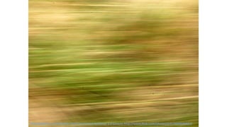 Philip Robbins CC Attribution-NonCommercial-NoDerivs 2.0 Generic http://www.flickr.com/photos/prfr/4669696927/
 