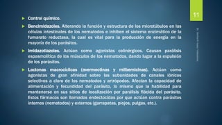  Control químico. 
 Bencimidazoles. Alterando la función y estructura de los microtúbulos en las 
células intestinales de los nematodos e inhiben el sistema enzimático de la 
fumarato reductasa, la cual es vital para la producción de energía en la 
mayoría de los parásitos. 
 Imidazotiazoles. Actúan como agonistas colinérgicos. Causan parálisis 
espasmolítica de los músculos de los nematodos, dando lugar a la expulsión 
de los parásitos. 
 Lactonas macrocíclicas (avermectinas y milbemicinas). Actúan como 
agonistas de gran afinidad sobre las subunidades de canales iónicos 
selectivos a cloro de los nematodos y artrópodos. Afectan la capacidad de 
alimentación y fecundidad del parásito, lo mismo que la habilidad para 
mantenerse en sus sitios de localización por parálisis flácida del parásito. 
Estos fármacos son llamados endectocidas por que actúan contra parásitos 
internos (nematodos) y externos (garrapatas, piojos, pulgas, etc.). 
11 
 