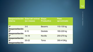 Desparasitación 
interna 
Edad del animal 
(en meses) 
Etapa 
Productiva 
Peso 
aproximado 
1ª 
desparasitación 
3-5 Becerro 110-130 kg 
2ª 
desparasitación 
8-10 Destete 180-220 kg 
3ª 
desparasitación 
14-16 Novillo 250-270 kg 
4ª 
desparasitación 
20-22 Toros 390-410Kg 
14 
 