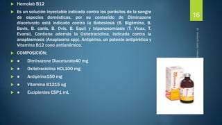  Hemolab B12 
 Es un solución inyectable indicada contra los parásitos de la sangre 
de especies domésticas, por su contenido de Diminazene 
diaceturato está indicado contra la Babesiosis (B. Bigémina, B. 
Bovis, B. canis, B. Ovis, B. Equi) y tripanosomiasis (T. Vicax, T. 
Evansi). Contiene además la Oxitetraciclina, indicada contra la 
anaplasmosis (Anaplasma spp). Antipirina, un potente antipirético y 
Vitamina B12 cono antianémico. 
 COMPOSICIÓN: 
 ● Diminazene Diaceturato40 mg 
 ● Oxitetraciclina HCL100 mg 
 ● Antipirina150 mg 
 ● Vitamina B1215 ug 
 ● Excipientes CSP1 mL 
16 
 