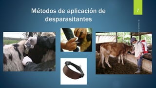 Métodos de aplicación de 
desparasitantes 
7 
 