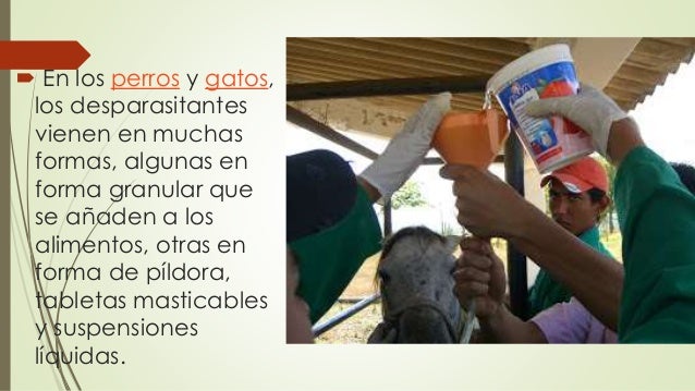 Las plantas los parásitos que llaman las enfermedades a la persona