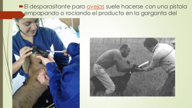 Por que pastillas es posible sacar las lombrices a los niños