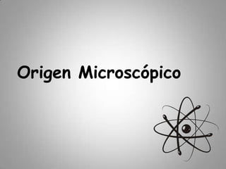 Origen Microscópico