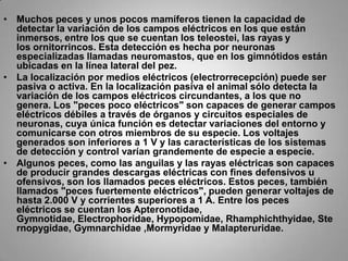 Muchos peces y unos pocos mamíferos tienen la capacidad de detectar la variación de los campos eléctricos en los que están inmersos, entre los que se cuentan los teleostei, las rayasy los ornitorrincos. Esta detección es hecha por neuronas especializadas llamadas neuromastos, que en los gimnótidos están ubicadas en la línea lateral del pez.La localización por medios eléctricos (electrorrecepción) puede ser pasiva o activa. En la localización pasiva el animal sólo detecta la variación de los campos eléctricos circundantes, a los que no genera. Los "peces poco eléctricos" son capaces de generar campos eléctricos débiles a través de órganos y circuitos especiales de neuronas, cuya única función es detectar variaciones del entorno y comunicarse con otros miembros de su especie. Los voltajes generados son inferiores a 1 V y las características de los sistemas de detección y control varían grandemente de especie a especie.Algunos peces, como las anguilas y las rayas eléctricas son capaces de producir grandes descargas eléctricas con fines defensivos u ofensivos, son los llamados peces eléctricos. Estos peces, también llamados "peces fuertemente eléctricos", pueden generar voltajes de hasta 2.000 V y corrientes superiores a 1 A. Entre los peces eléctricos se cuentan los Apteronotidae, Gymnotidae, Electrophoridae, Hypopomidae, Rhamphichthyidae, Sternopygidae, Gymnarchidae ,Mormyridae y Malapteruridae.