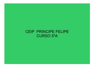 CEIP  PRINCIPE FELIPE CURSO 5ºA 