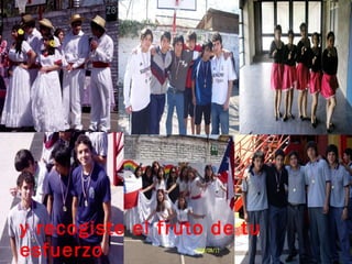 y recogiste el fruto de tu esfuerzo 