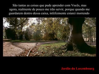 São tantas as coisas que pude aprender com Vocês, mas agora, realmente de pouco me irão servir, porque quando me guardarem dentro dessa caixa, infelizmente estarei morrendo . Jardin du Luxembourg 