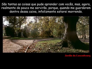 São tantas as coisas que pude aprender com vocês, mas, agora,
realmente de pouco me servirão, porque, quando me guardarem
     dentro dessa caixa, infelizmente estarei morrendo.




                                           Jardin du Luxembourg
 