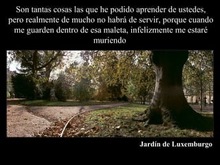 Son tantas cosas las que he podido aprender de ustedes,
pero realmente de mucho no habrá de servir, porque cuando
 me guarden dentro de esa maleta, infelizmente me estaré
                         muriendo.




                                    Jardín de Luxemburgo
 