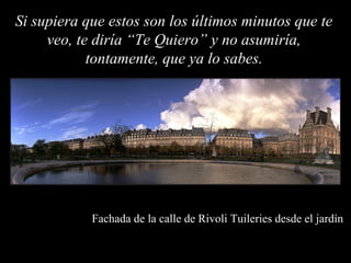 Si supiera que estos son los últimos minutos que te
     veo, te diría “Te Quiero” y no asumiría,
            tontamente, que ya lo sabes.




            Fachada de la calle de Rivoli Tuileries desde el jardín
 