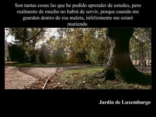 Jardín de Luxemburgo
Son tantas cosas las que he podido aprender de ustedes, pero
realmente de mucho no habrá de servir, porque cuando me
guarden dentro de esa maleta, infelizmente me estaré
muriendo.
 