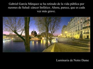 Gabriel García Márquez se ha retirado de la vida pública por razones de Salud: cáncer linfático. Ahora, parece, que es cada vez más grave.   Luminaria de Notre Dame 