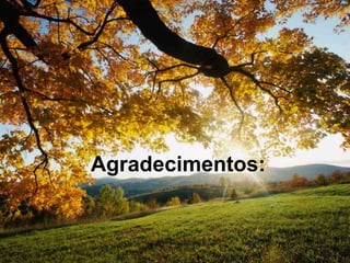 Agradecimentos:
 