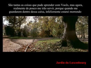 São tantas as coisas que pude aprender com Vocês, mas agora, realmente de pouco me irão servir, porque quando me guardarem dentro dessa caixa, infelizmente estarei morrendo . Jardin du Luxembourg 