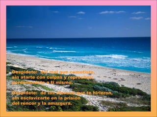 Despídete:  del mal que cometiste,  sin atarte con culpas y reproches;  perdonándote a ti mismo.  Despídete:  de las ofensas que te hirieron,  sin esclavizarte en la prisión  del rencor y la amargura.  