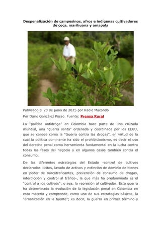 Despenalización de campesinos, afros e indígenas cultivadores
de coca, marihuana y amapola
Publicado el 20 de junio de 201...