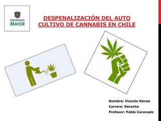 Nombre: Vicente Navea
Carrera: Derecho
Profesor: Pablo Coronado
DESPENALIZACIÓN DEL AUTO
CULTIVO DE CANNABIS EN CHILE
 