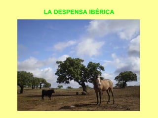 LA DESPENSA IBÉRICA 