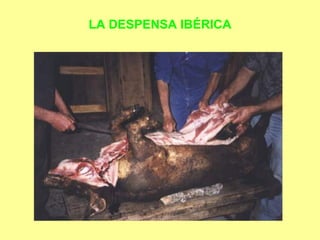 LA DESPENSA IBÉRICA 