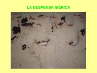 LA DESPENSA IBÉRICA 