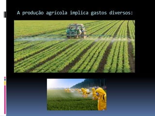 A produção agrícola implica gastos diversos:
 
