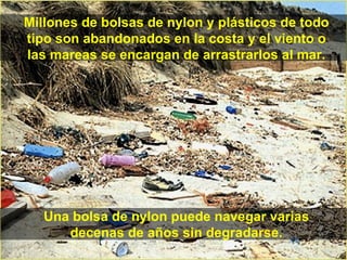 Millones de bolsas de nylon y plásticos de todo tipo son abandonados en la costa y el viento o las mareas se encargan de arrastrarlos al mar. Una bolsa de nylon puede navegar varias decenas de años sin degradarse. 