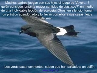 Muchos padres juegan con sus hijos el juego de "A ver... ? quién consigue juntar la mayor cantidad de plásticos?" en medio de una inolvidable lección de ecología. Otros, en silencio, toman un plástico abandonado y lo llevan con ellos a sus casas, lejos del mar.  Los verás pasar sonrientes, saben que han salvado a un delfín. www.klip7.cl 