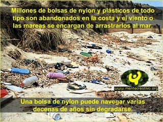 Millones de bolsas de nylon y plásticos de todo tipo son abandonados en la costa y el viento o las mareas se encargan de arrastrarlos al mar. Una bolsa de nylon puede navegar varias decenas de años sin degradarse. 