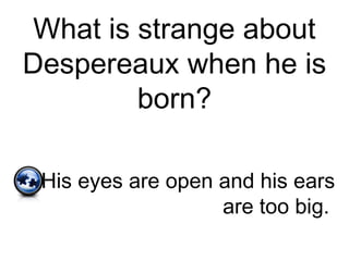 What is strange about
Despereaux when he is
born?
His eyes are open and his ears
are too big.
 