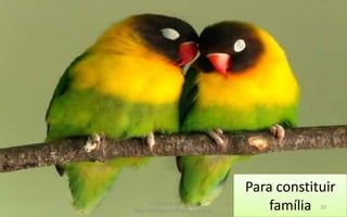 Para constituir
famíliaPr. Almy Alves Junior,
http://almyalves.blogspot.com.br
10
 