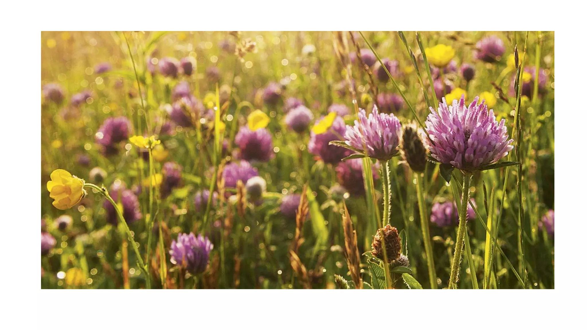 Despertando a la realidad del momento presente