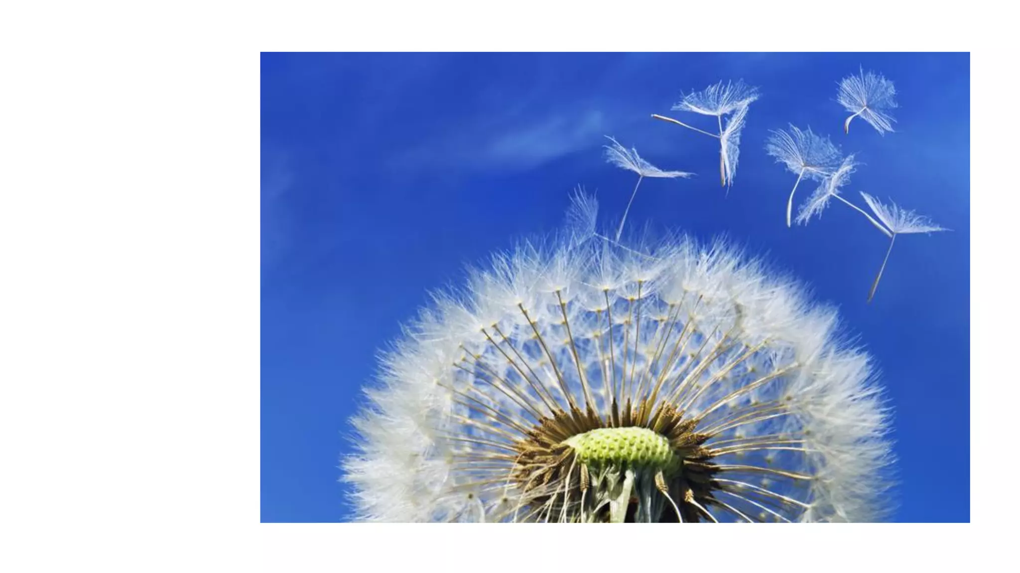 Despertando a la realidad del momento presente